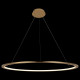 Подвесной светодиодный светильник Loft IT Ring 10014L