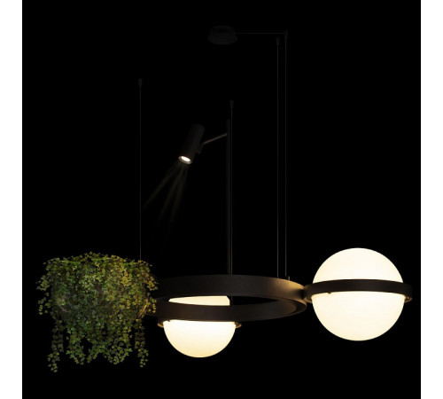 Торшер Loft IT Jardin 10121/F Dark grey Торшер Loft IT Jardin 10121/F Dark grey
