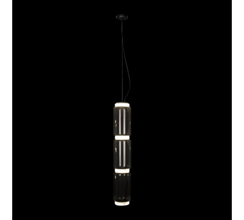 Торшер Loft IT Noctambule 10194F/L