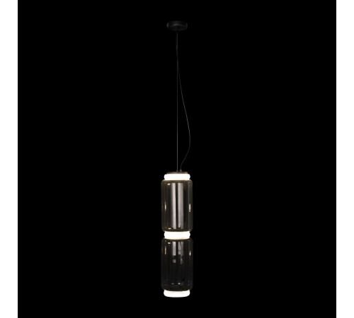 Торшер Loft IT Noctambule 10194F/M