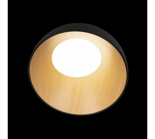 Потолочный светильник Loft IT Egg 10197/350 Black Потолочный светильник Loft IT Egg 10197/350 Black