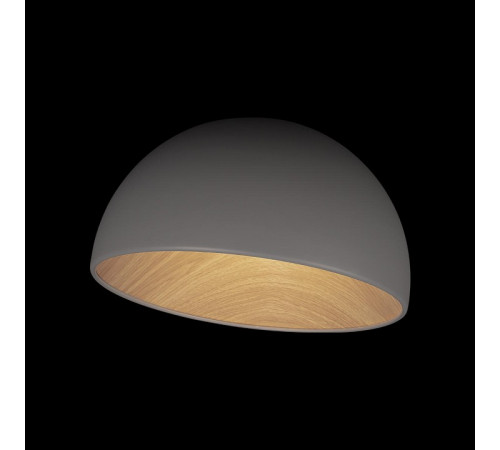 Потолочный светильник Loft IT Egg 10197/350 Grey