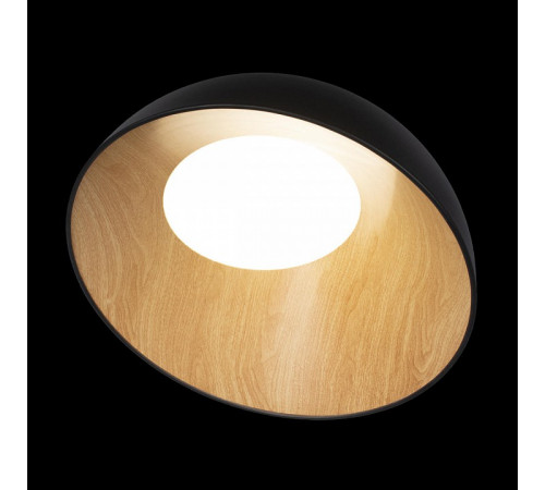 Потолочный светильник Loft IT Egg 10197/500 Black