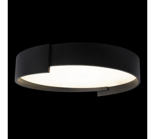 Потолочный светильник Loft IT Coin 10200 Black