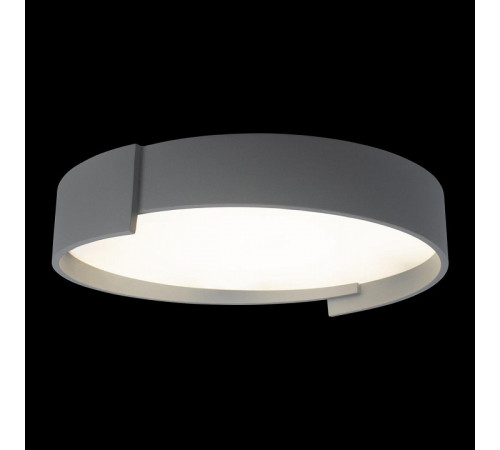 Потолочный светильник Loft IT Coin 10200 Grey