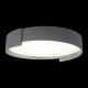Потолочный светильник Loft IT Coin 10200 Grey