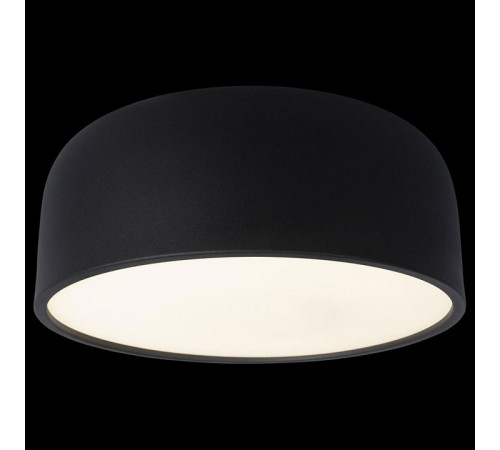 Потолочный светильник Loft IT Axel 10201/350 Black