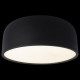 Потолочный светильник Loft IT Axel 10201/350 Black