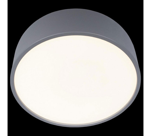Потолочный светильник Loft IT Axel 10201/350 Grey