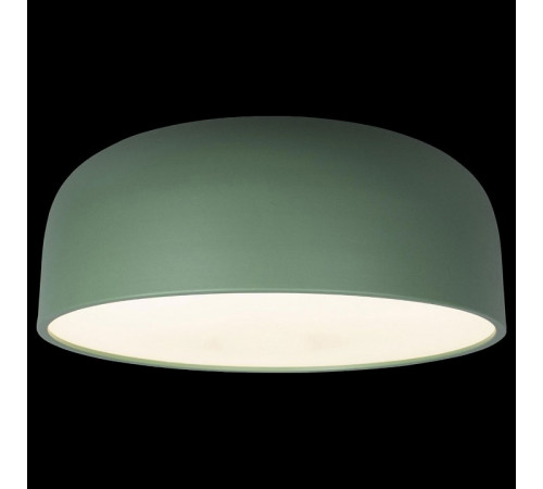 Потолочный светильник Loft IT Axel 10201/480 Green