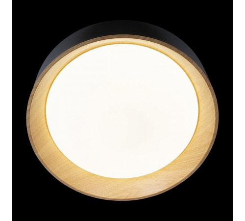 Потолочный светильник Loft IT Coin 10202 Black
