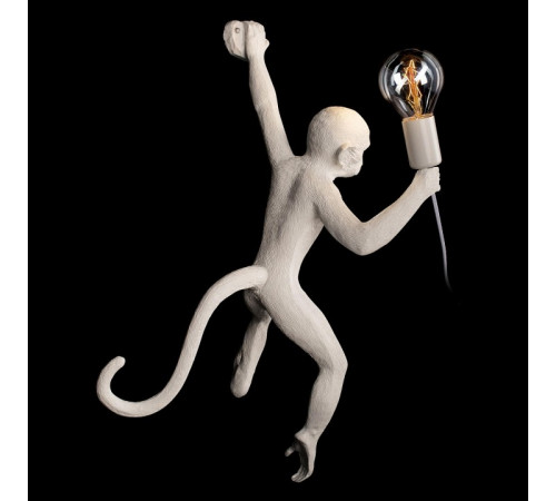 Настенный светильник Loft IT Monkey 10314W/A