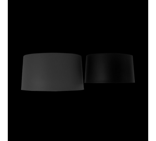 Потолочный светильник Loft IT Duo 10360/2 Потолочный светильник Loft IT Duo 10360/2