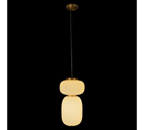 Подвесной светильник Loft IT Duff 10422/B
