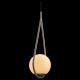 Подвесной светильник Loft IT GLOB LOFT2599-B