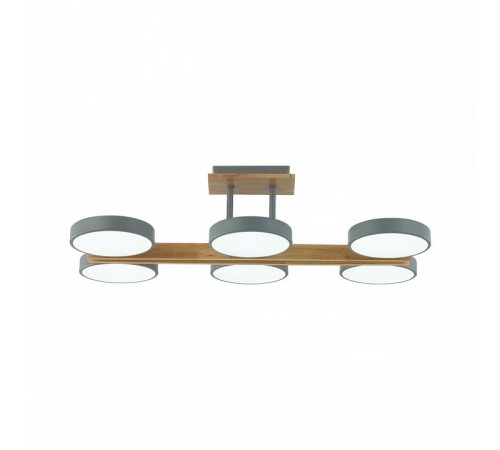 Потолочная люстра Lumion Plato 8031/108CL Потолочная люстра Lumion Plato 8031/108CL