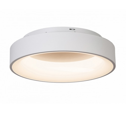 Потолочный светильник Myfar Shannon MR2194-1PL Потолочный светильник Myfar Shannon MR2194-1PL