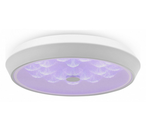 Потолочный светильник Freya Cells FR10012CL-L24W