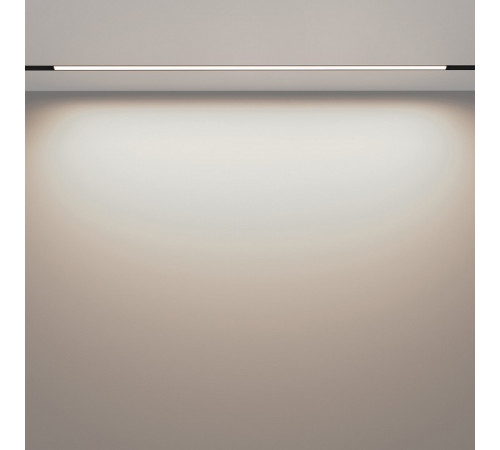 Трековый светильник Maytoni Technical Magnetic track system Exility Basis TR030-2-30W4K-B