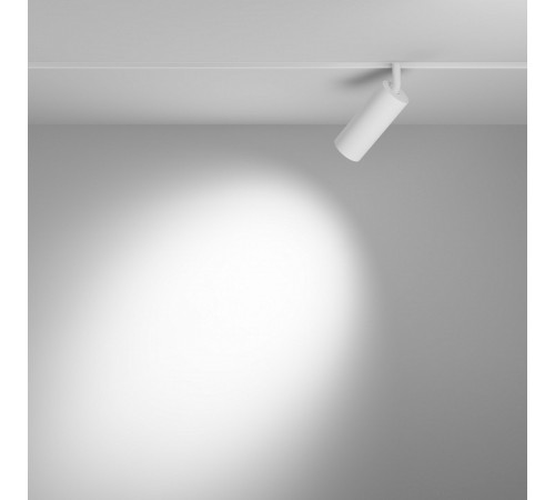 Трековый магнитный светильник Maytoni Focus LED TR032-4-12W3K-S-DS-W