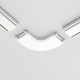 Коннектор питания Maytoni Accessories for tracks Radity TRA084CR-11W