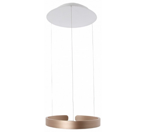 Подвесной светильник Mizi en Leo MZ31371-600G