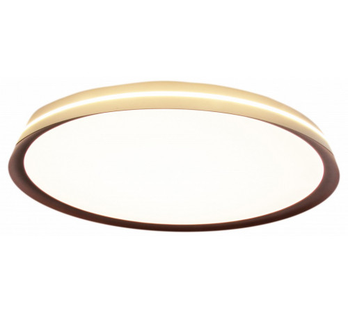 Потолочный светильник Mizi en Titan MZ31502-430