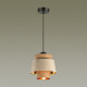 Подвесной светильник Odeon Light Kressa 4992/1A