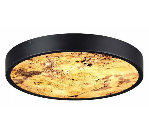 Настенно-потолочный светильник Odeon Light Bergi 5064/24L