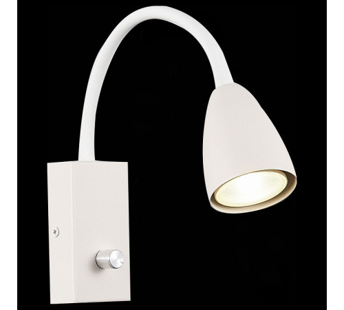 Настенный светильник ST LUCE AMIO SL1014.501.01
