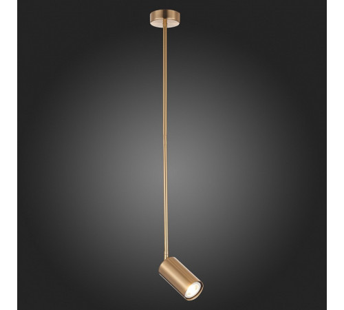 Подвесной светильник ST Luce Sormano SL1206.303.01