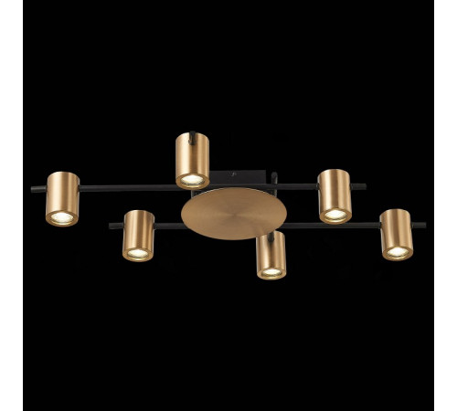 Потолочная люстра ST Luce Veroli SL1207.402.06