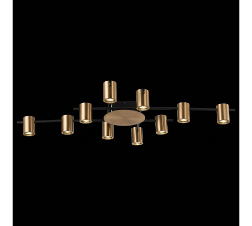 Потолочная люстра ST Luce Veroli SL1207.402.10