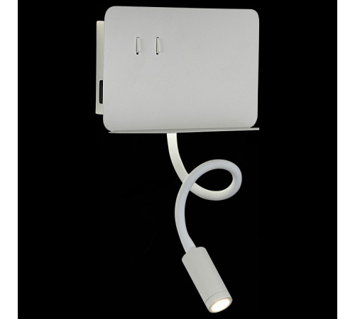 Настенный светильник ST LUCE PINAGGIO SL1576.501.02 Настенный светильник ST LUCE PINAGGIO SL1576.501.02