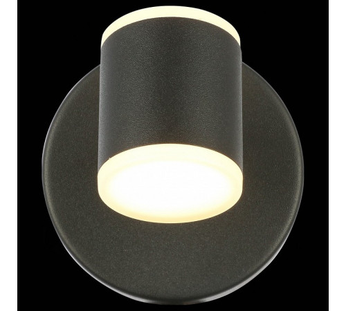 Бра ST-Luce SL1597.401.01 Бра ST-Luce SL1597.401.01