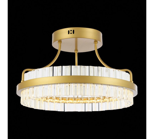 Люстра на штанге ST-Luce SL383.202.01 Люстра на штанге ST-Luce SL383.202.01