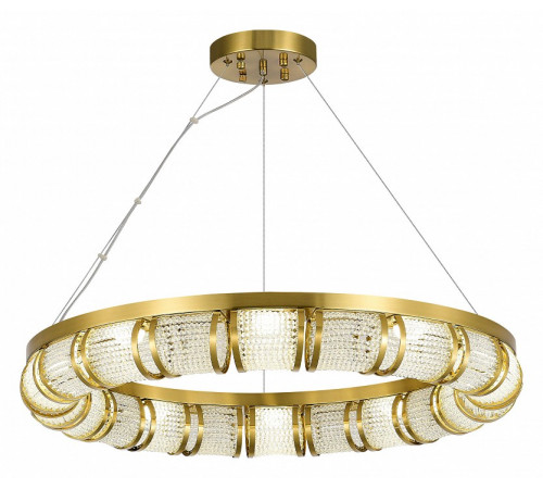 Подвесная люстра ST Luce Esme SL6011.303.01