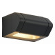Фасадный светильник ST Luce Protech SL9540.701.01