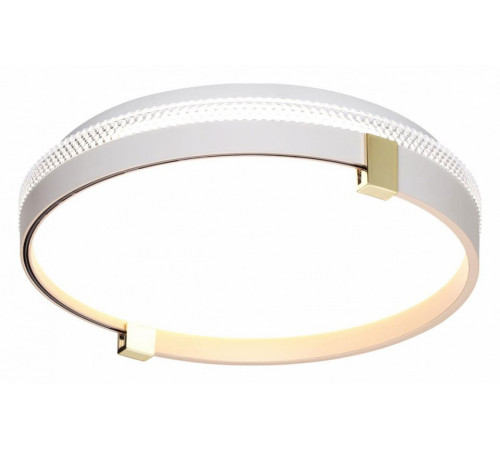 Настенно-потолочный светильник Sonex Olidi white 7646/CL