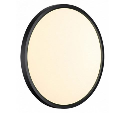 Настенно-потолочный светильник Sonex Alfa black 7660/32L