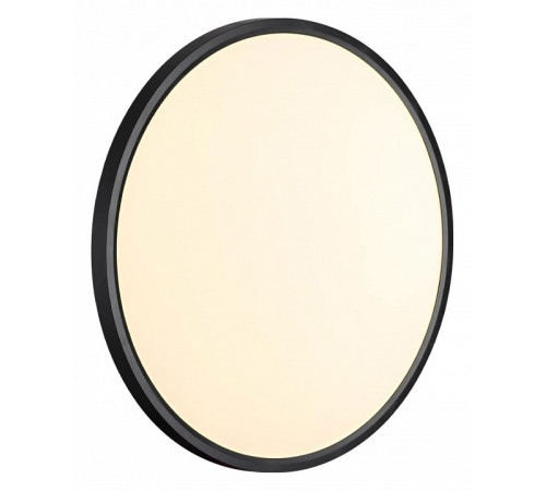 Потолочный светильник Sonex Alfa black 7660/40L