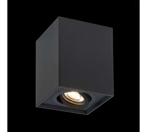 Потолочный светильник ST LUCE ST109.407.01
