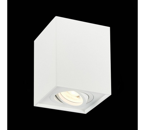 Потолочный светильник ST LUCE ST109.507.01