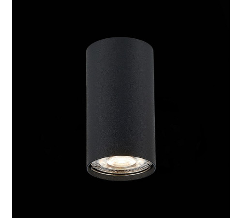 Потолочный светильник ST Luce Simplus ST110.407.01 УЦ