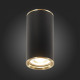 Потолочный светильник ST Luce Chomus ST111.437.01