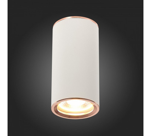 Потолочный светильник ST Luce Chomus ST111.527.01