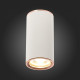 Потолочный светильник ST Luce Chomus ST111.527.01