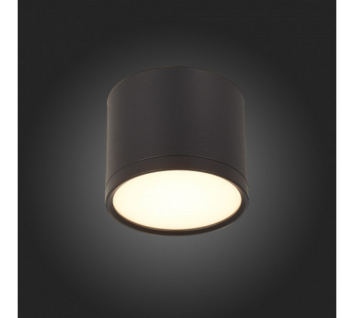 Потолочный светильник ST Luce Rene ST113.432.09 Потолочный светильник ST Luce Rene ST113.432.09
