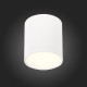 Потолочный светильник ST Luce Rene ST113.532.05