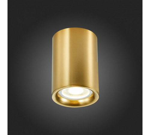 Накладной светильник ST Luce ST114 ST114.207.01 Накладной светильник ST Luce ST114 ST114.207.01
